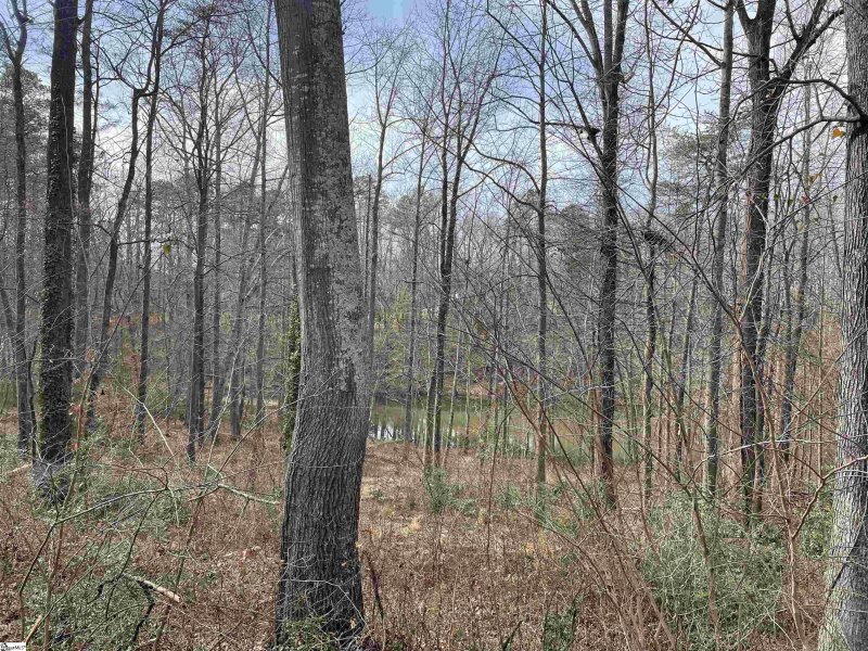 Property image 4 at 1704 Waterway Court, Spartanburg, SC 29306