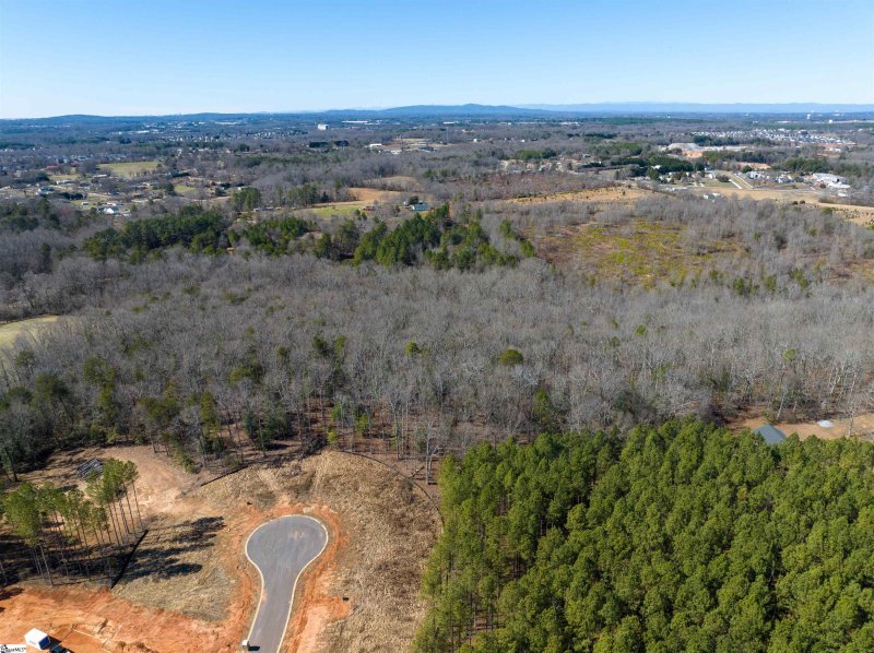 Property image 3 at 40 Danielsen Way, Greer, SC 29651