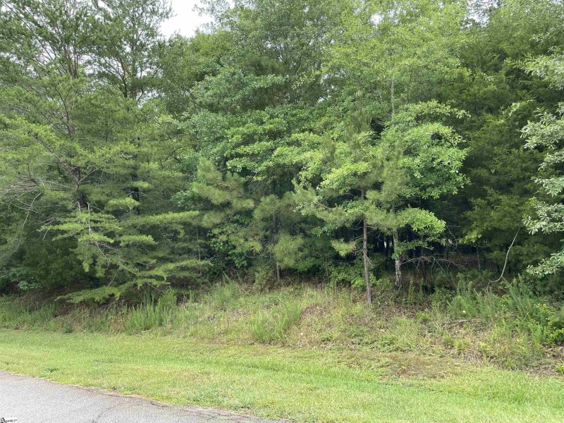 Property image 2 at 205 W Peninsula Drive, Laurens, SC 29360