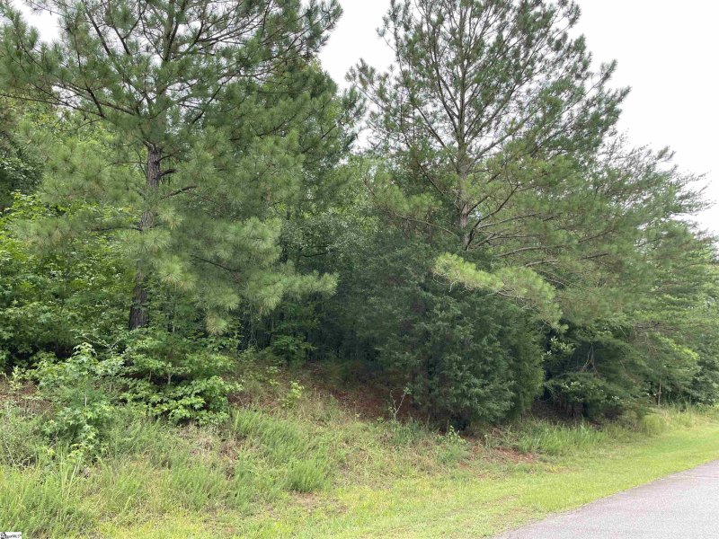 Property image 3 at 205 W Peninsula Drive, Laurens, SC 29360