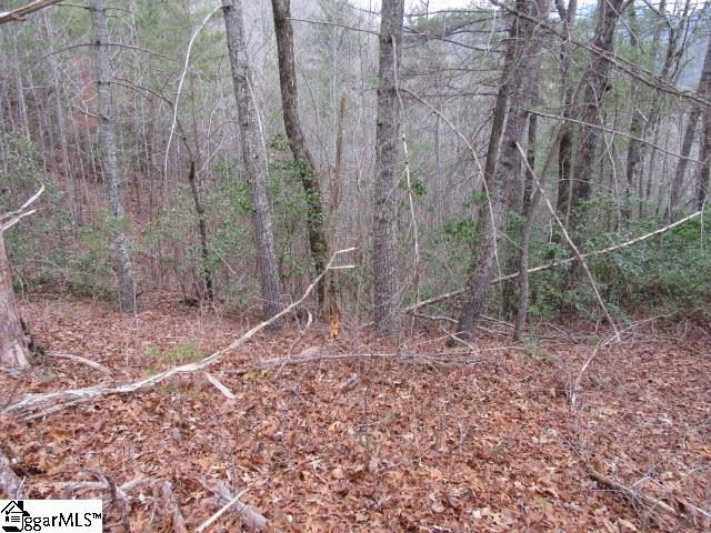 Property image 3 at 430 Whispering Falls Drive, Pickens, SC 29671