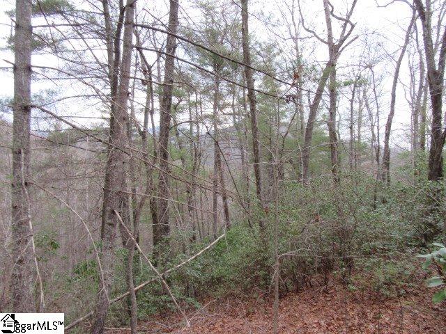 Property image 4 at 430 Whispering Falls Drive, Pickens, SC 29671