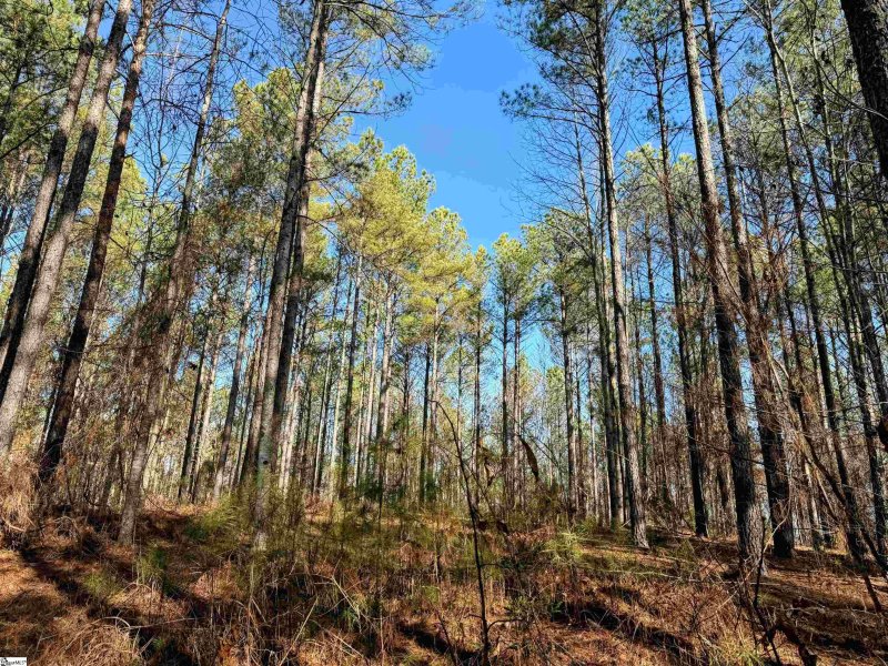 Property image 5 at 1007 Peninsula Pines Drive, West Union, SC 29696