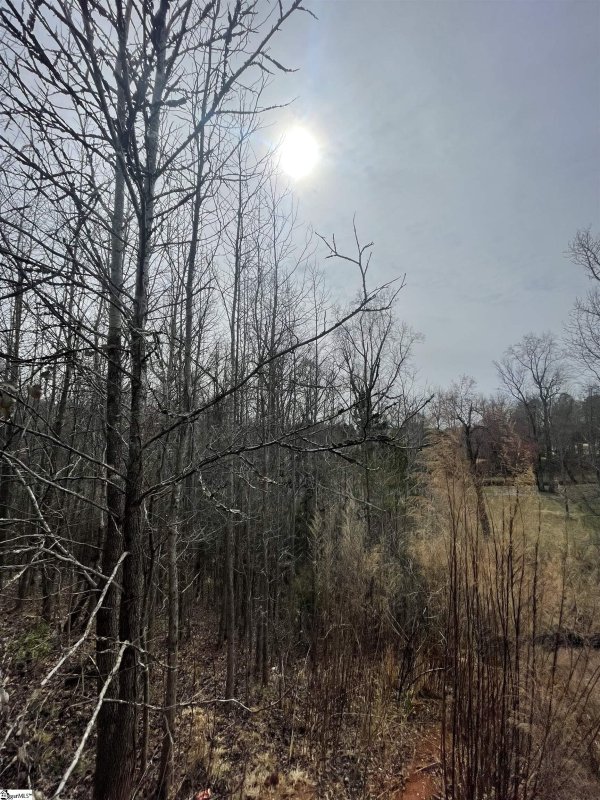 Property image 4 at 35 Park Vista Way, Greenville, SC 29617