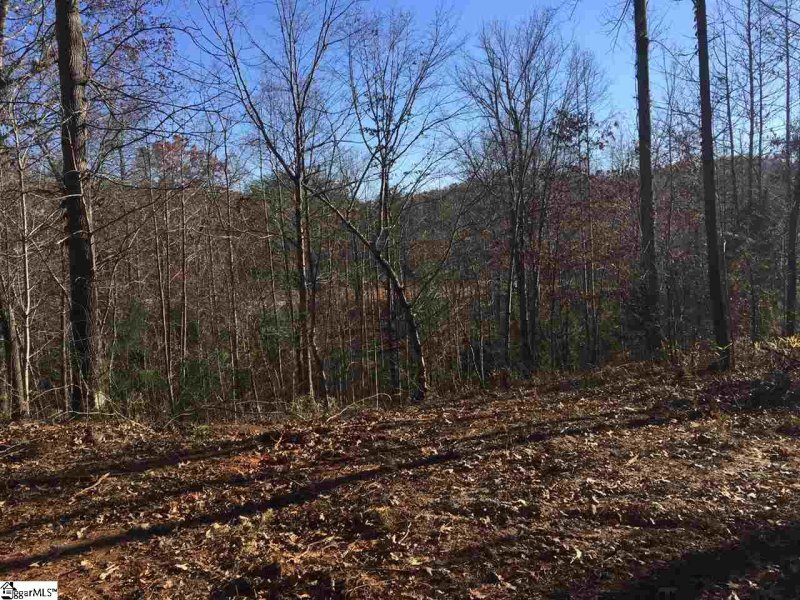 Property image 2 at 15 Darting Sparrow Way, Marietta, SC 29661