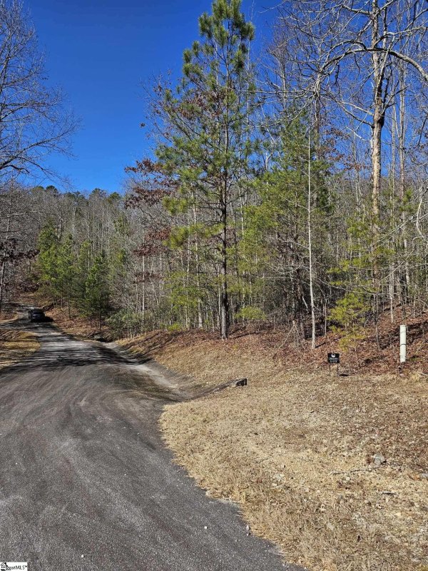 Property image 3 at 15 Darting Sparrow Way, Marietta, SC 29661