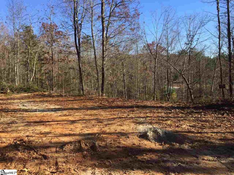 Property image 4 at 15 Darting Sparrow Way, Marietta, SC 29661