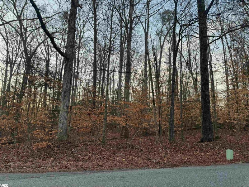 Property image 5 at 00 Pistol Club Road, Easley, SC 29640