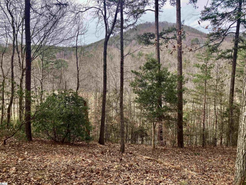Property image 2 at Augusta Links Trail, Travelers Rest, SC 29690