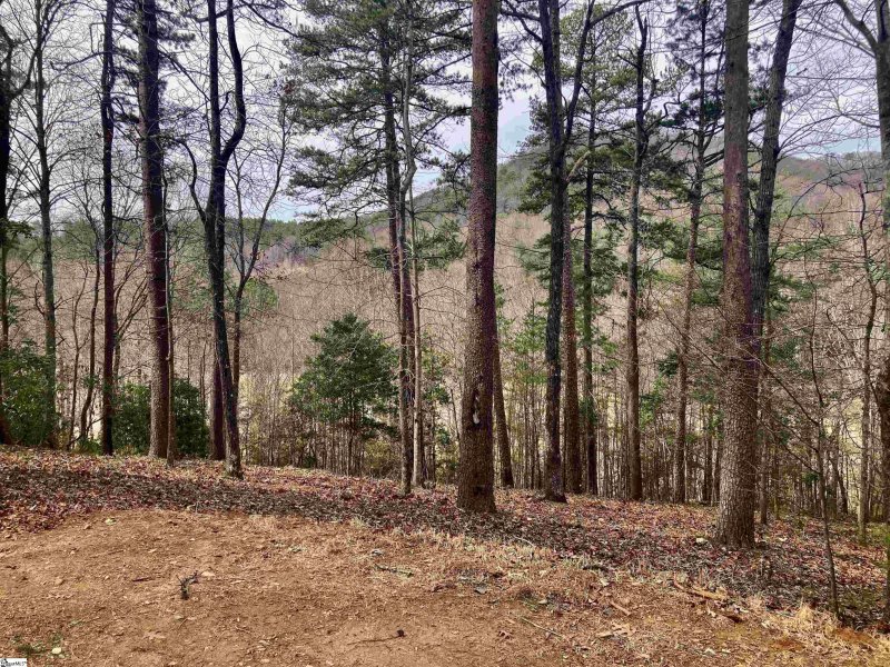 Property image 3 at Augusta Links Trail, Travelers Rest, SC 29690
