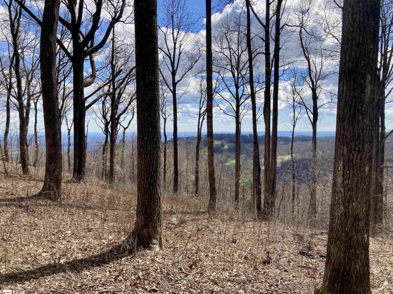 Property image 2 at 52 Wild Ginger Road, Landrum, SC 29356