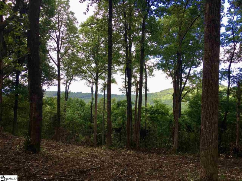 Property image 3 at 52 Wild Ginger Road, Landrum, SC 29356