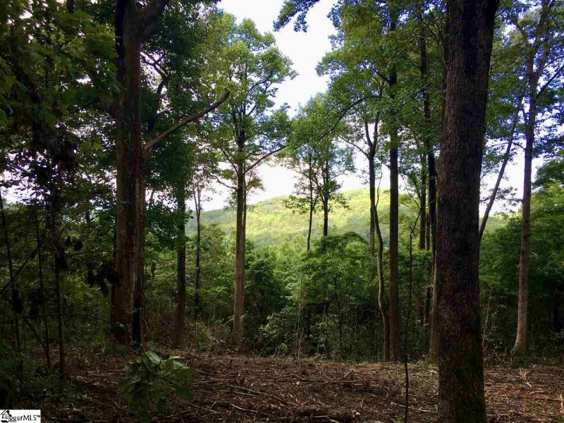 Property image 4 at 52 Wild Ginger Road, Landrum, SC 29356