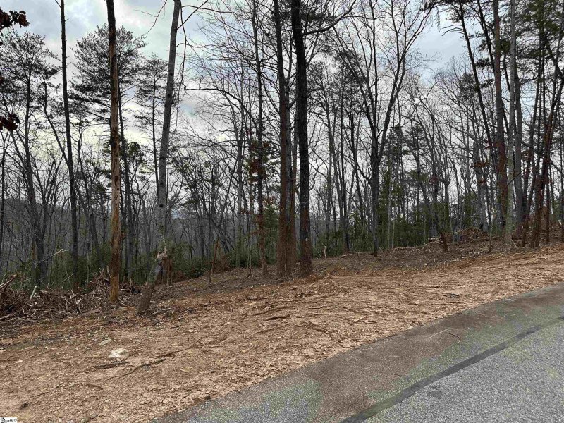 Property image 3 at 211 Luberon Lane, Travelers Rest, SC 29690