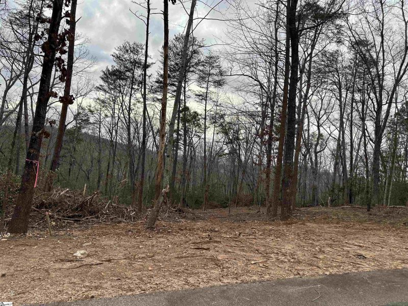 Property image 4 at 211 Luberon Lane, Travelers Rest, SC 29690