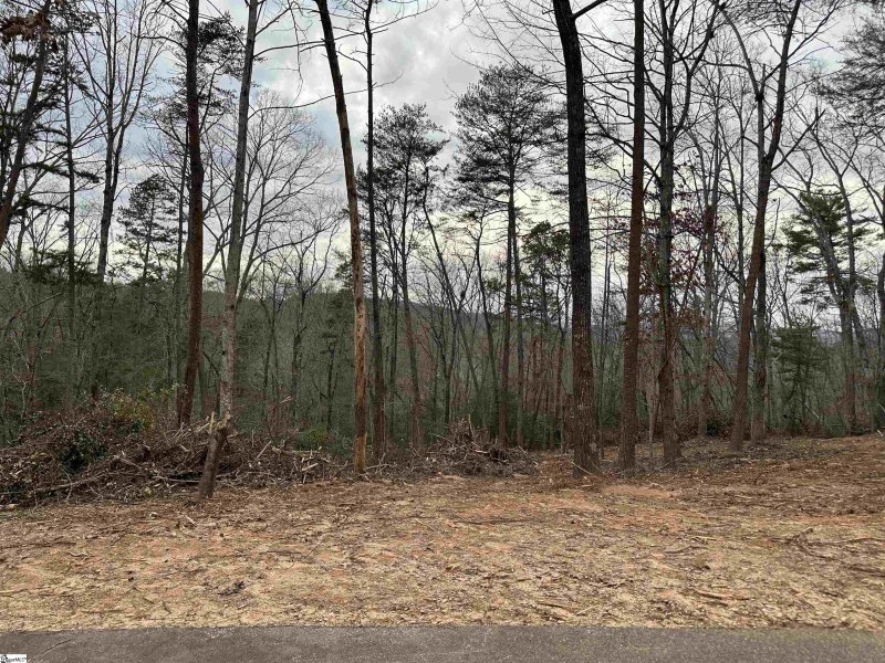 Property image 5 at 211 Luberon Lane, Travelers Rest, SC 29690