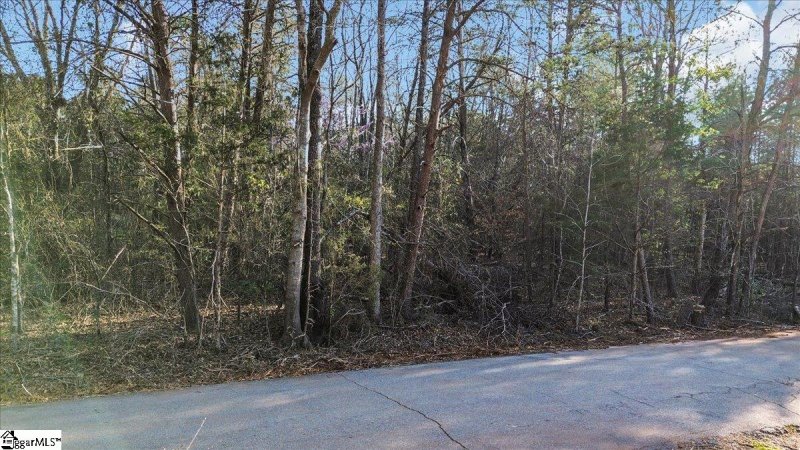 Property image 4 at Manchester Avenue, Piedmont, SC 29673