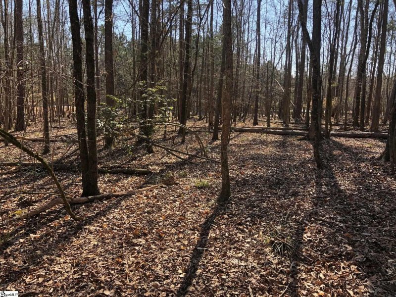 Property image 2 at Angler Drive, Laurens, SC 29360