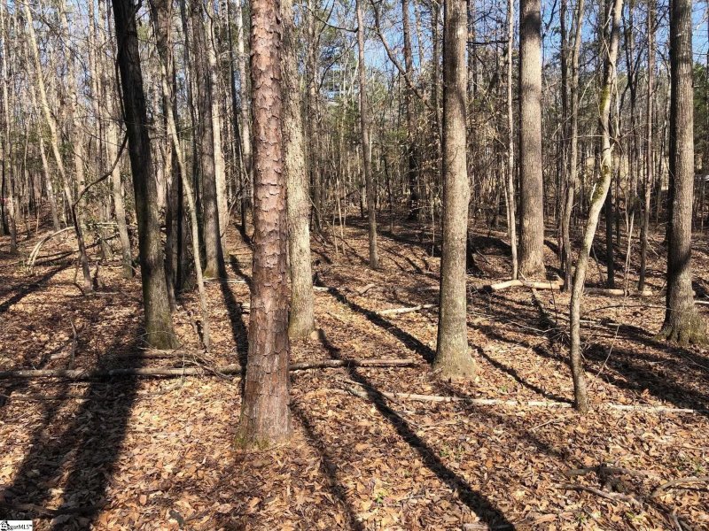 Property image 3 at Angler Drive, Laurens, SC 29360