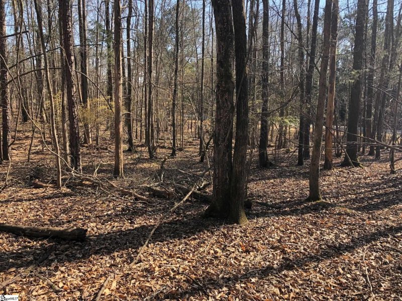 Property image 4 at Angler Drive, Laurens, SC 29360