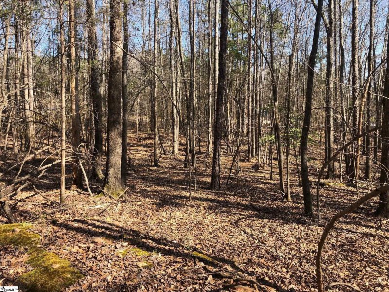 Property image 5 at Angler Drive, Laurens, SC 29360