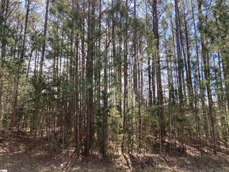 Property image 3 at 00 Tanglewood Drive, Westminster, SC 29693