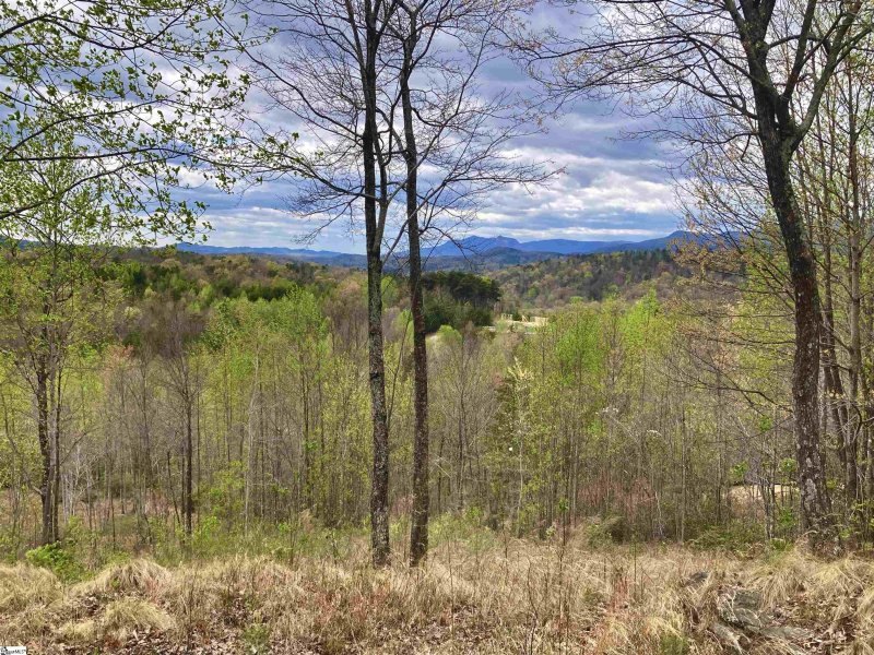 Property image 3 of 17 Sweetleaf Court in The Cliffs at Mountain Park, Marietta, SC 29661