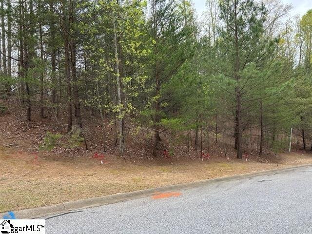 Property image 5 at 19 Timberline Drive, Travelers Rest, SC 29690