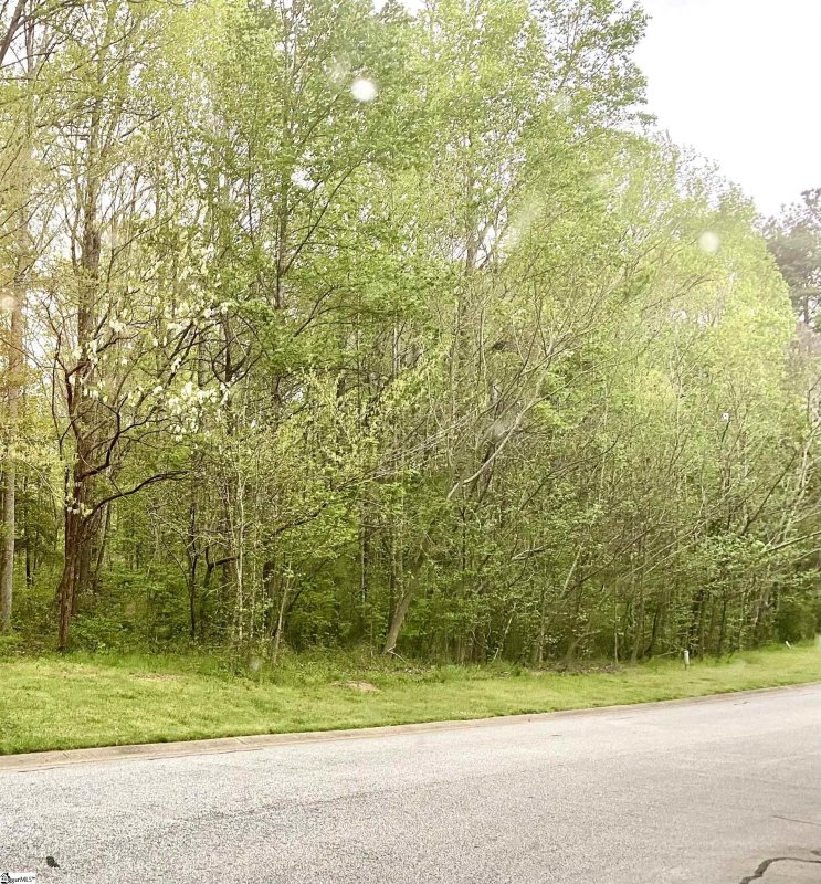 Property image 2 at 10 Laurel Valley Way, Travelers Rest, SC 29690