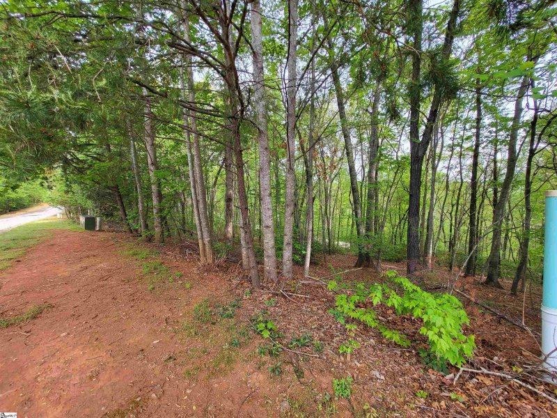 300 Laurel Valley Way