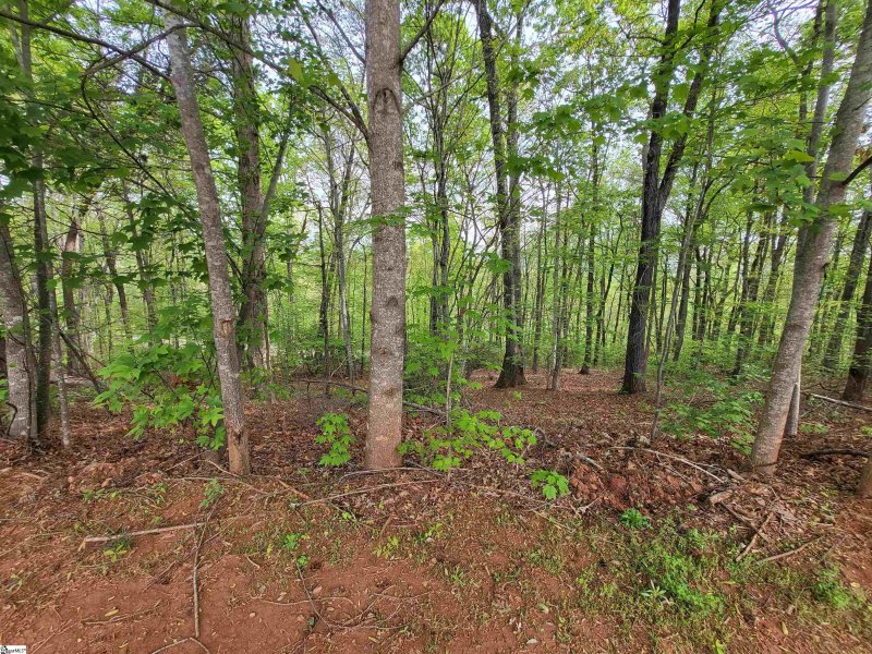 Property image 2 at 300 Laurel Valley Way, Travelers Rest, SC 29690