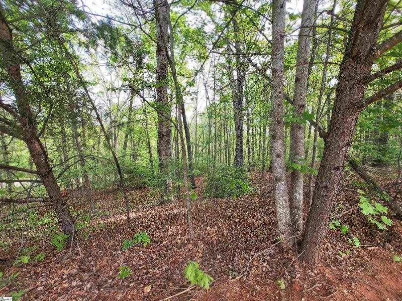 Property image 3 at 300 Laurel Valley Way, Travelers Rest, SC 29690