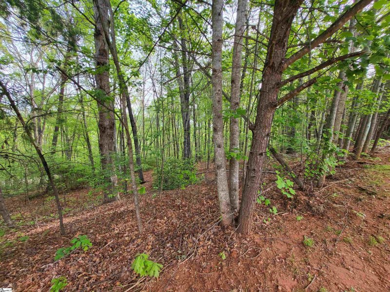 Property image 4 at 300 Laurel Valley Way, Travelers Rest, SC 29690