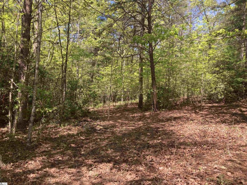 Property image 2 of 2 Darting Sparrow Way in The Cliffs at Mountain Park, Marietta, SC 29661