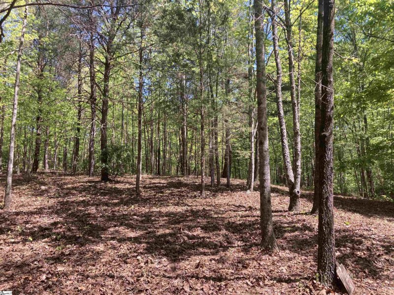 Property image 3 of 2 Darting Sparrow Way in The Cliffs at Mountain Park, Marietta, SC 29661