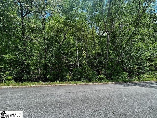 Property image 3 of 0 Old Rockhouse Road in Summersett Place, Greenville, SC 29609