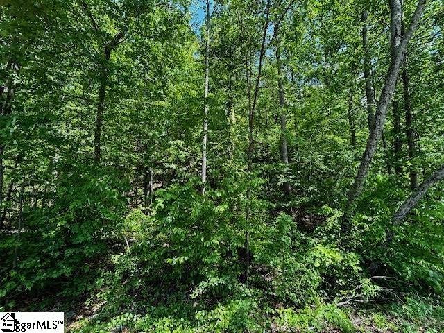 Property image 4 of 0 Old Rockhouse Road in Summersett Place, Greenville, SC 29609
