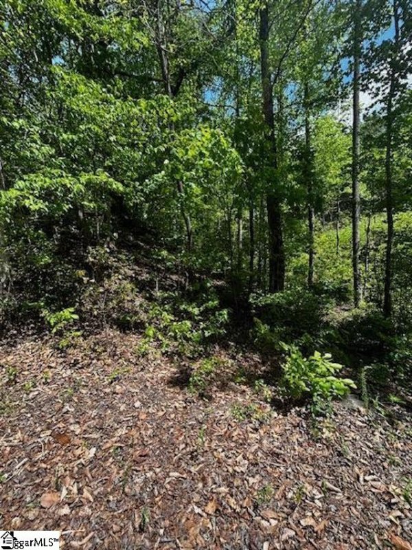 Property image 2 of 00 Old Rockhouse Road in Summersett Place, Greenville, SC 29609