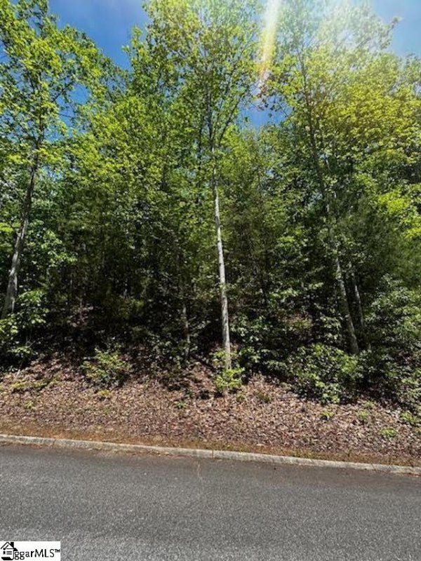 Property image 3 of 00 Old Rockhouse Road in Summersett Place, Greenville, SC 29609