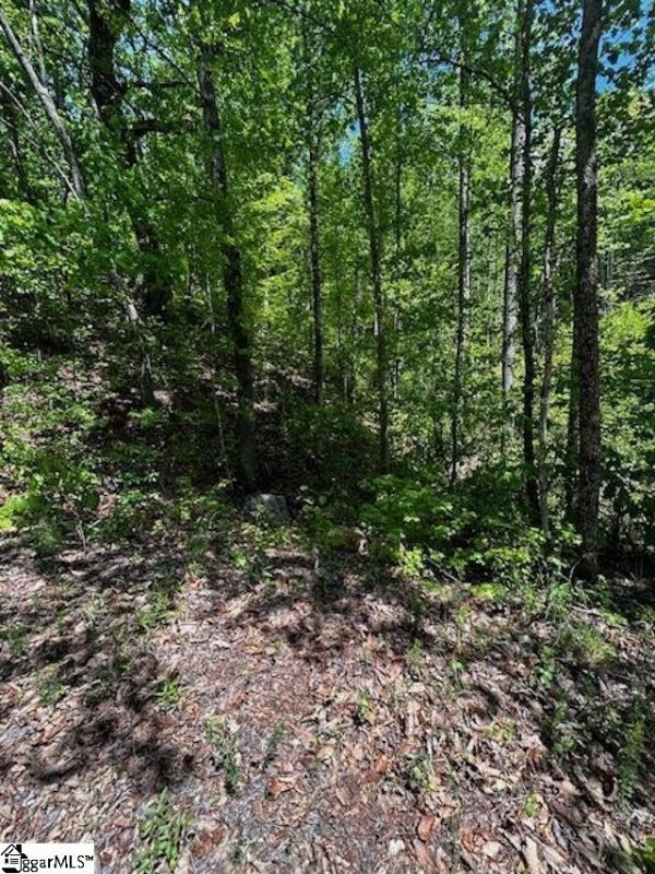 Property image 2 of 000 Rockhouse Road in Summersett Place, Greenville, SC 29609