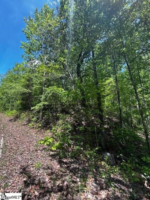 Property image 3 of 000 Rockhouse Road in Summersett Place, Greenville, SC 29609