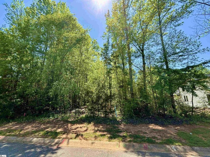 Property image 2 at 2040 Ivy Cottage Path, Boiling Springs, SC 29316