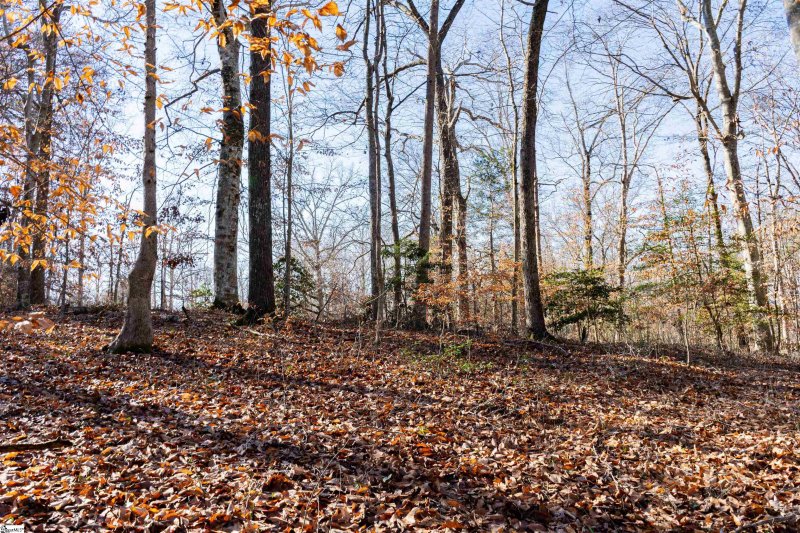 Property image 4 at 00 Loch Lomond Drive, Pickens, SC 29640