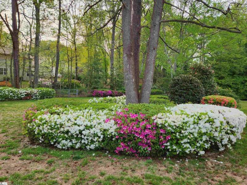 Property image 3 at 407 Harness Trail, Simpsonville, SC 29681