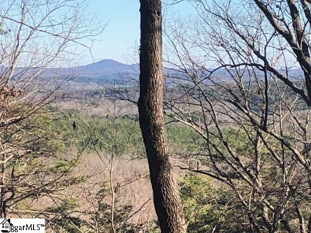 Property image 2 at 00 Stone Terrace Way, Salem, SC 29676