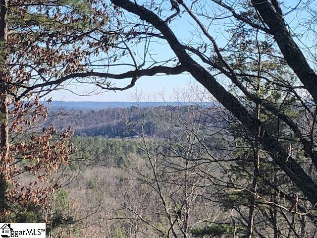 Property image 3 at 00 Stone Terrace Way, Salem, SC 29676