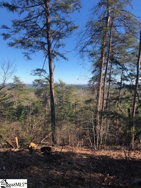 Property image 2 at 00 Stone Terrace Way, Salem, SC 29676