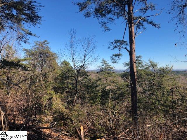 Property image 3 at 00 Stone Terrace Way, Salem, SC 29676