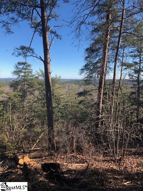 Property image 4 at 00 Stone Terrace Way, Salem, SC 29676