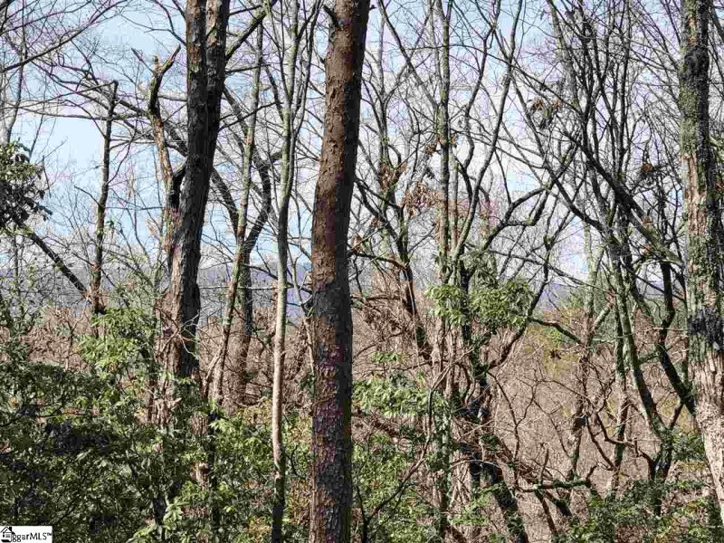 Property image 2 at 00 Stone Terrace Way, Salem, SC 29676